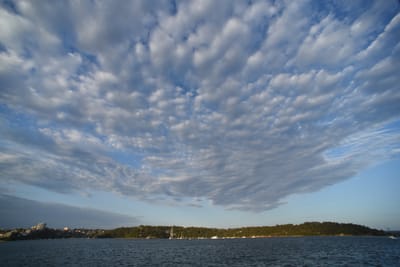 DSC_6257.JPG