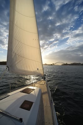 DSC_6260.JPG