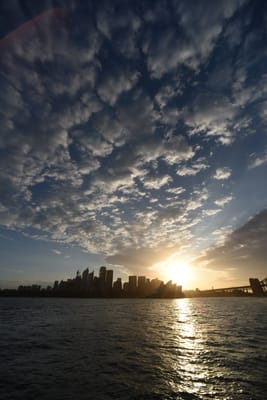 DSC_6270.JPG