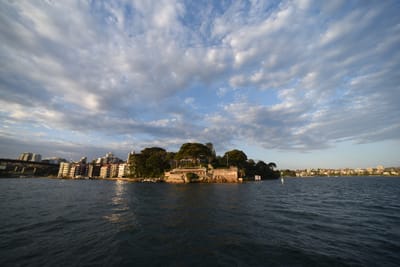DSC_6272.JPG