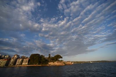 DSC_6273.JPG