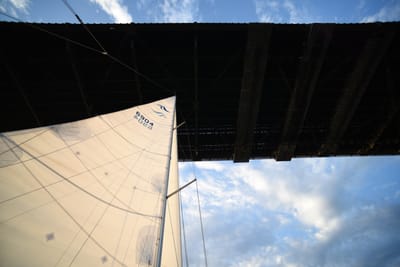 DSC_6278.JPG
