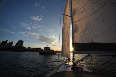 DSC_6282.JPG