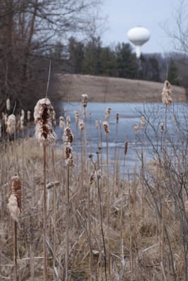 DSC08392.JPG