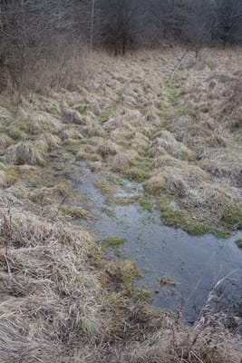 DSC08395.JPG