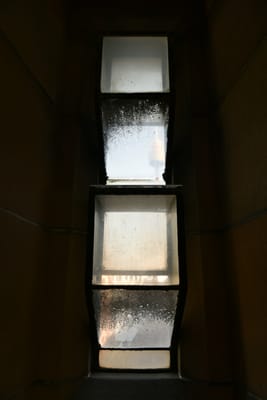 DSC_5798.JPG