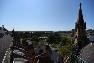 DSC_5810.JPG