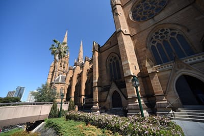 DSC_5817.JPG