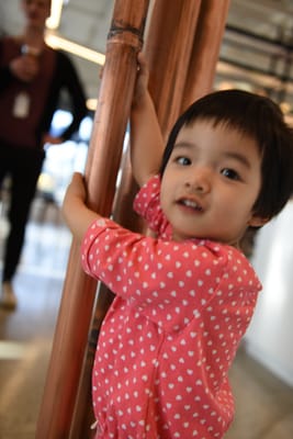DSC_5984.JPG