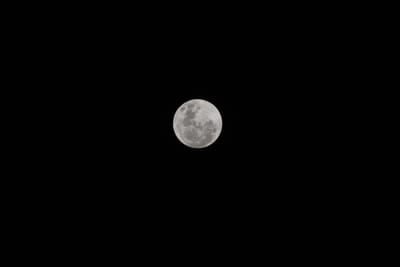 DSC_8555.JPG