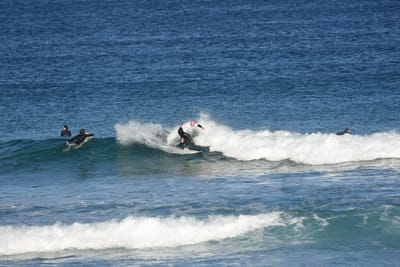 DSC_8353.JPG