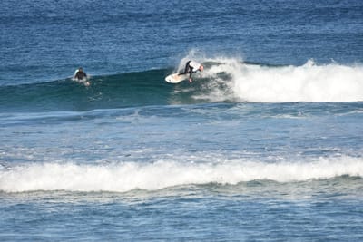 DSC_8366.JPG