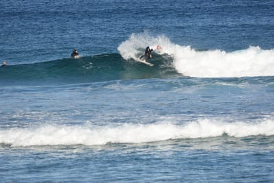 DSC_8368.JPG