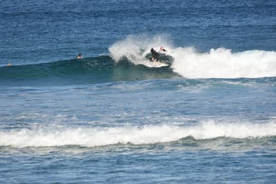 DSC_8369.JPG