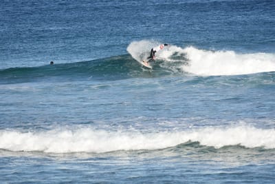 DSC_8372.JPG