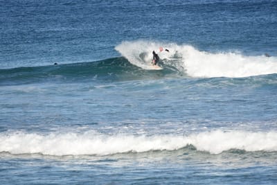 DSC_8373.JPG
