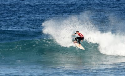 DSC_8378.JPG