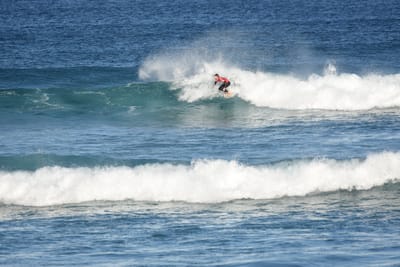 DSC_8379.JPG