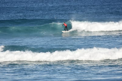 DSC_8380.JPG