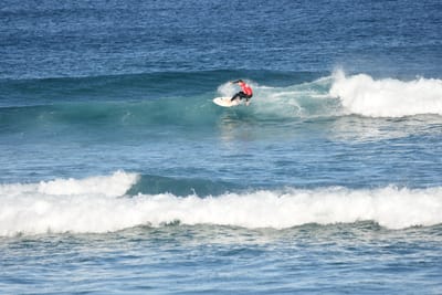 DSC_8383.JPG