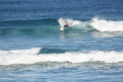 DSC_8384.JPG