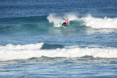 DSC_8386.JPG