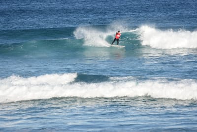 DSC_8387.JPG