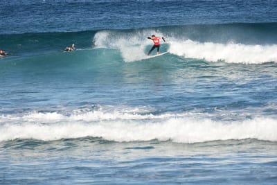 DSC_8390.JPG