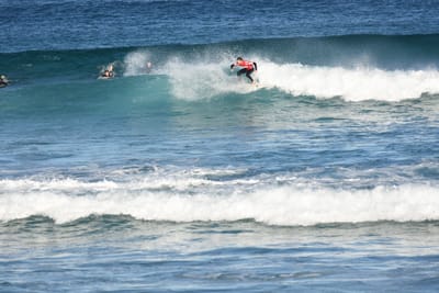 DSC_8391.JPG