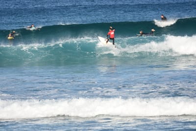DSC_8392.JPG