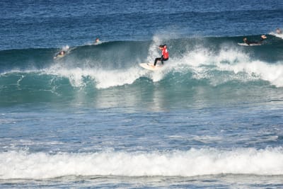 DSC_8395.JPG