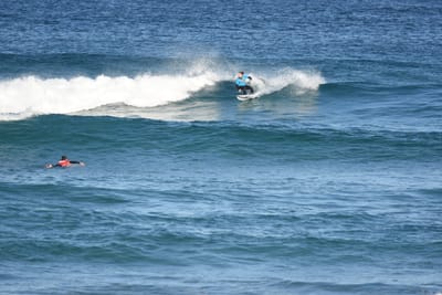 DSC_8419.JPG