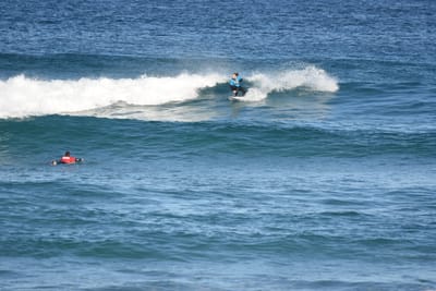 DSC_8420.JPG