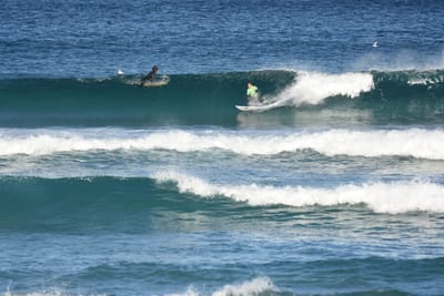 DSC_8421.JPG