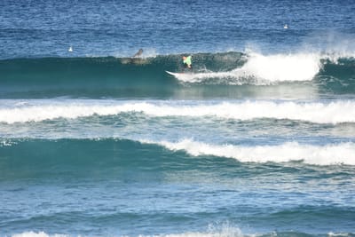 DSC_8423.JPG