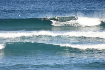 DSC_8424.JPG