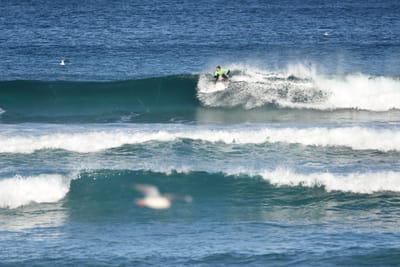 DSC_8426.JPG