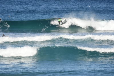 DSC_8428.JPG