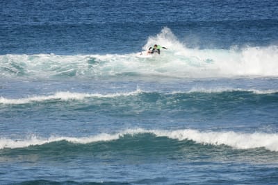 DSC_8434.JPG
