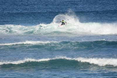 DSC_8435.JPG