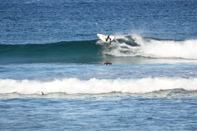 DSC_8442.JPG