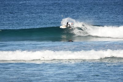 DSC_8443.JPG