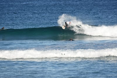 DSC_8444.JPG
