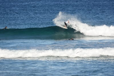 DSC_8445.JPG