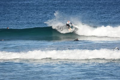 DSC_8447.JPG