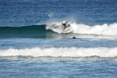DSC_8448.JPG