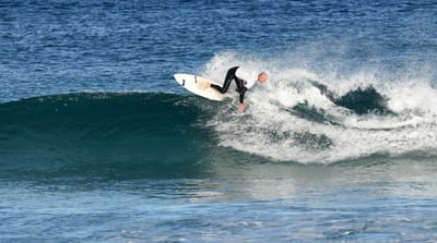 DSC_8454.JPG