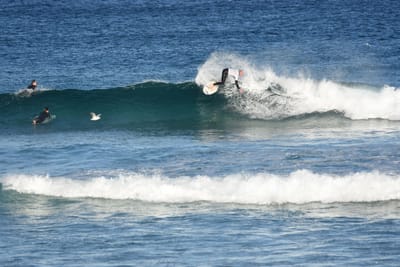 DSC_8455.JPG