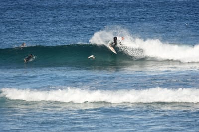 DSC_8456.JPG