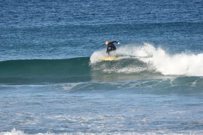DSC_8477.JPG